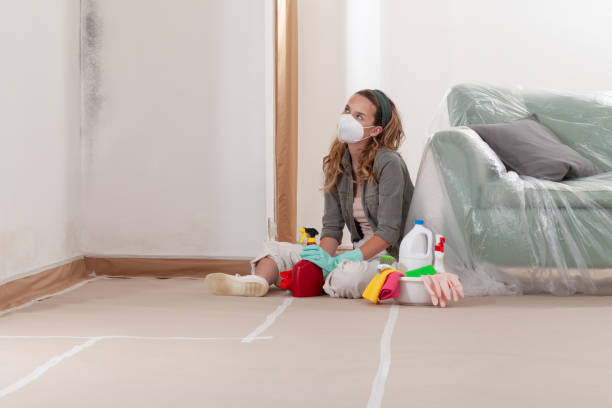 Reliable Mold Cleanup contractor in Gillette, NJ by Cheap Mold Removal